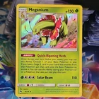 Meganium