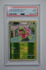 Meganium