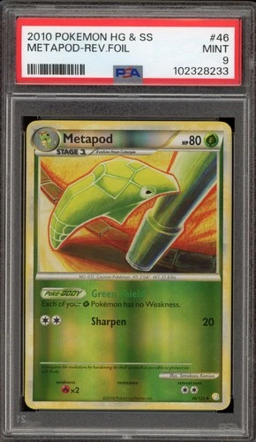 Metapod