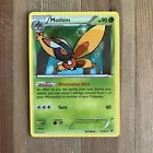Mothim