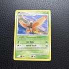 Mothim