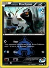 Team Aqua's Poochyena