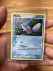 Mudkip