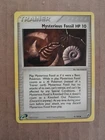 Mysterious Fossil