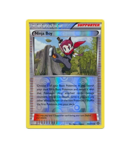 Ninja Boy