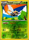 Ninjask