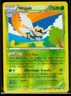 Ninjask
