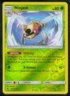 Ninjask