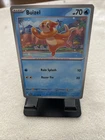 Buizel
