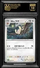 Noctowl