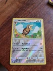 Noctowl