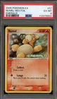 Numel