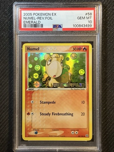 Numel