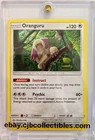 Oranguru