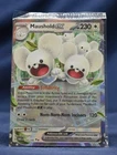 Maushold