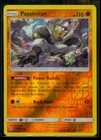 Passimian