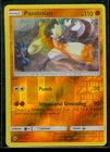 Passimian