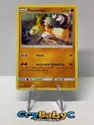 Passimian