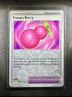 Payapa Berry