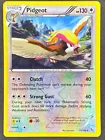 Pidgeot