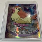 Pidgey
