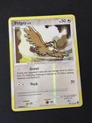 Pidgey