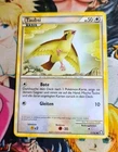 Pidgey