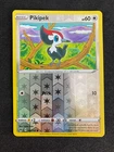 Pikipek