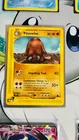 Piloswine