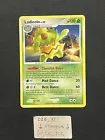 Ludicolo