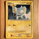 Shinx
