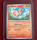Ponyta