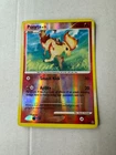 Ponyta