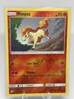 Ponyta