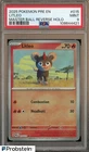 Litleo