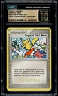 Tropical Tidal Wave