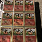 Tepig