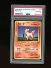 Ponyta