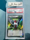 Swellow