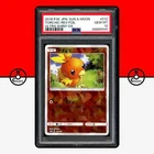 Torchic