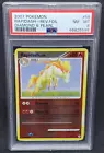 Rapidash