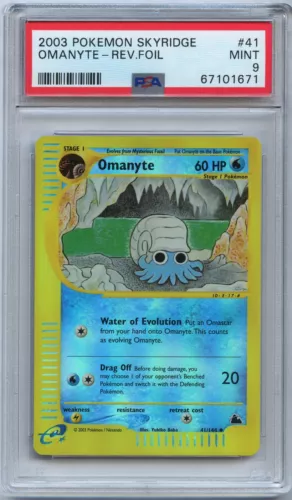 Omanyte