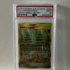 Viridian Forest