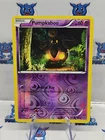 Pumpkaboo