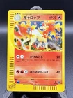 Rapidash