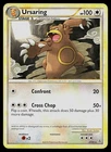 Ursaring