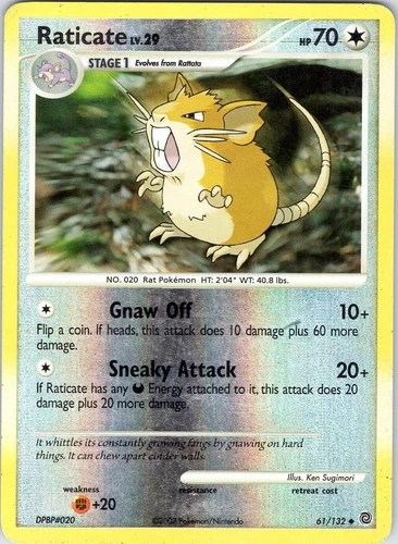 Raticate