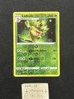 Ludicolo