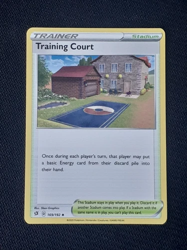 Training Court