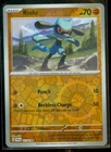 Riolu